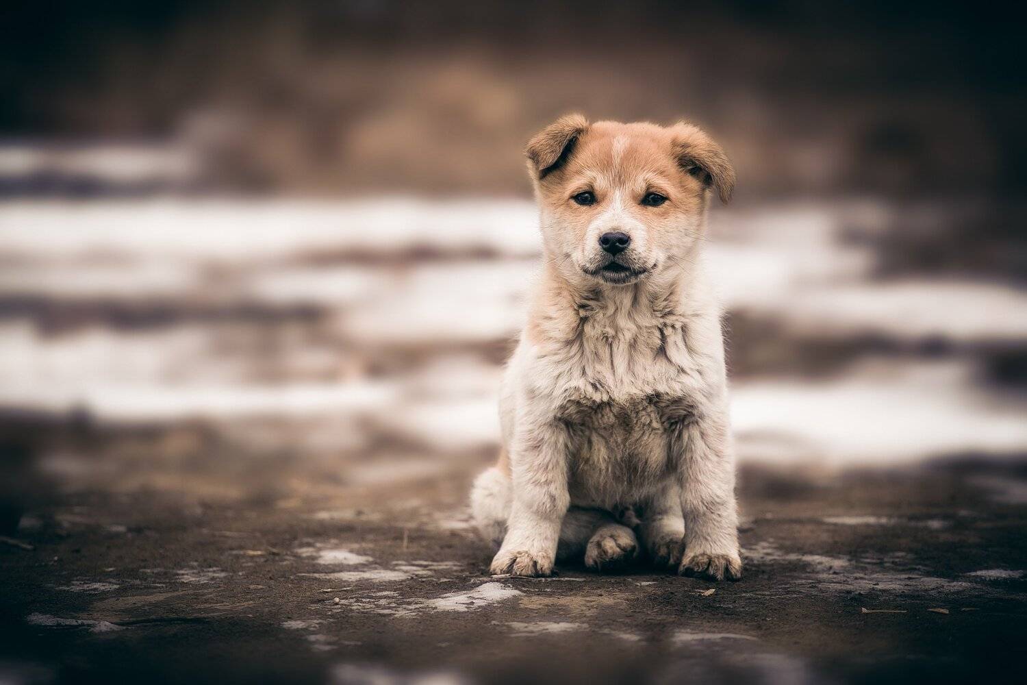 , Павел Сагайдак