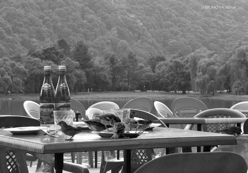 Сценки из жизни фото превью