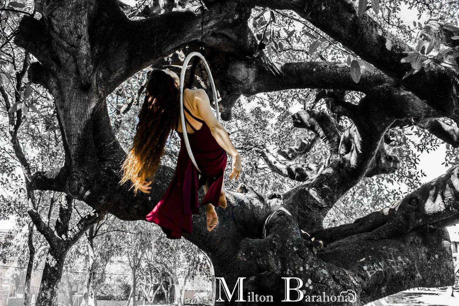 conceptual, Milton Barahona