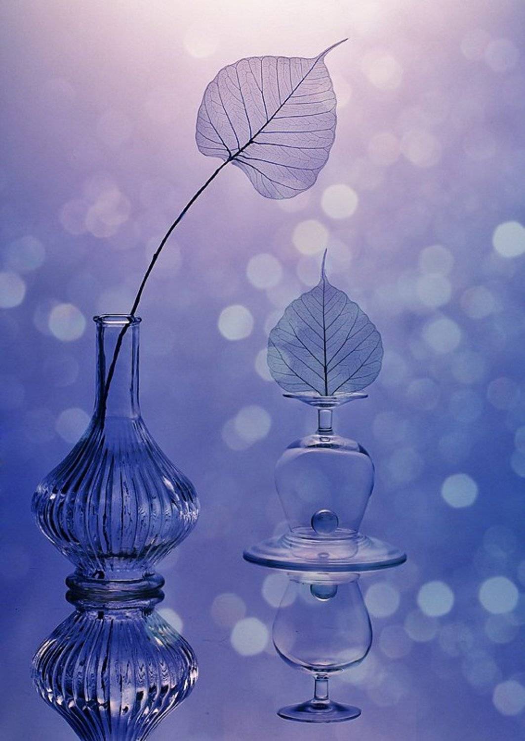 , Ирина Фурашова