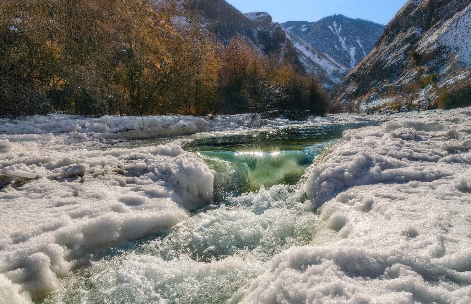 , Шевченко Юрий