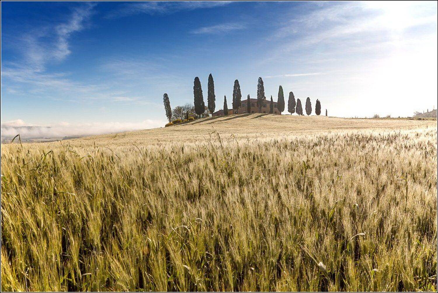 italy, tuscany, pienza, siena, landscape, Igor Sokolovsky