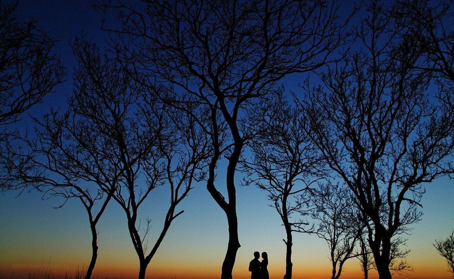 , Максим Воробьёв