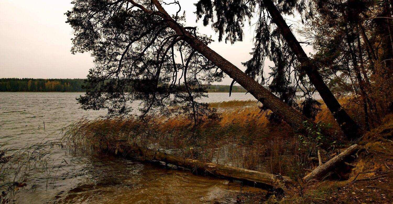 пейзаж, осень, беларусь, природа, Sixten ( Сергей )