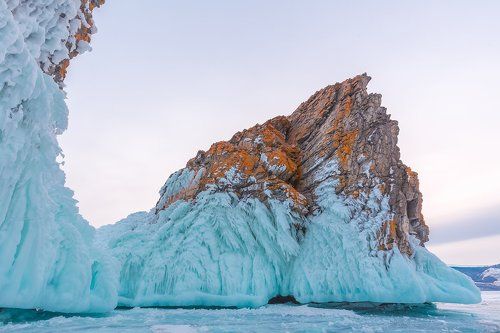 Байкальские сокуи