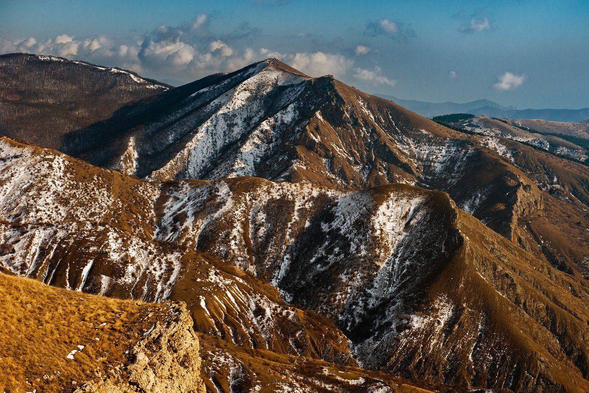 , Олег Логунов