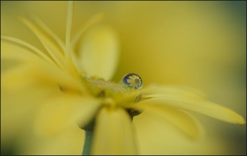 A small drop фото превью