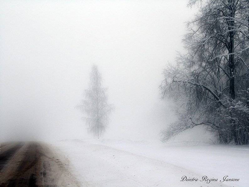 mist,road,landscape,winter,, DZINTRA REGINA JANSONE