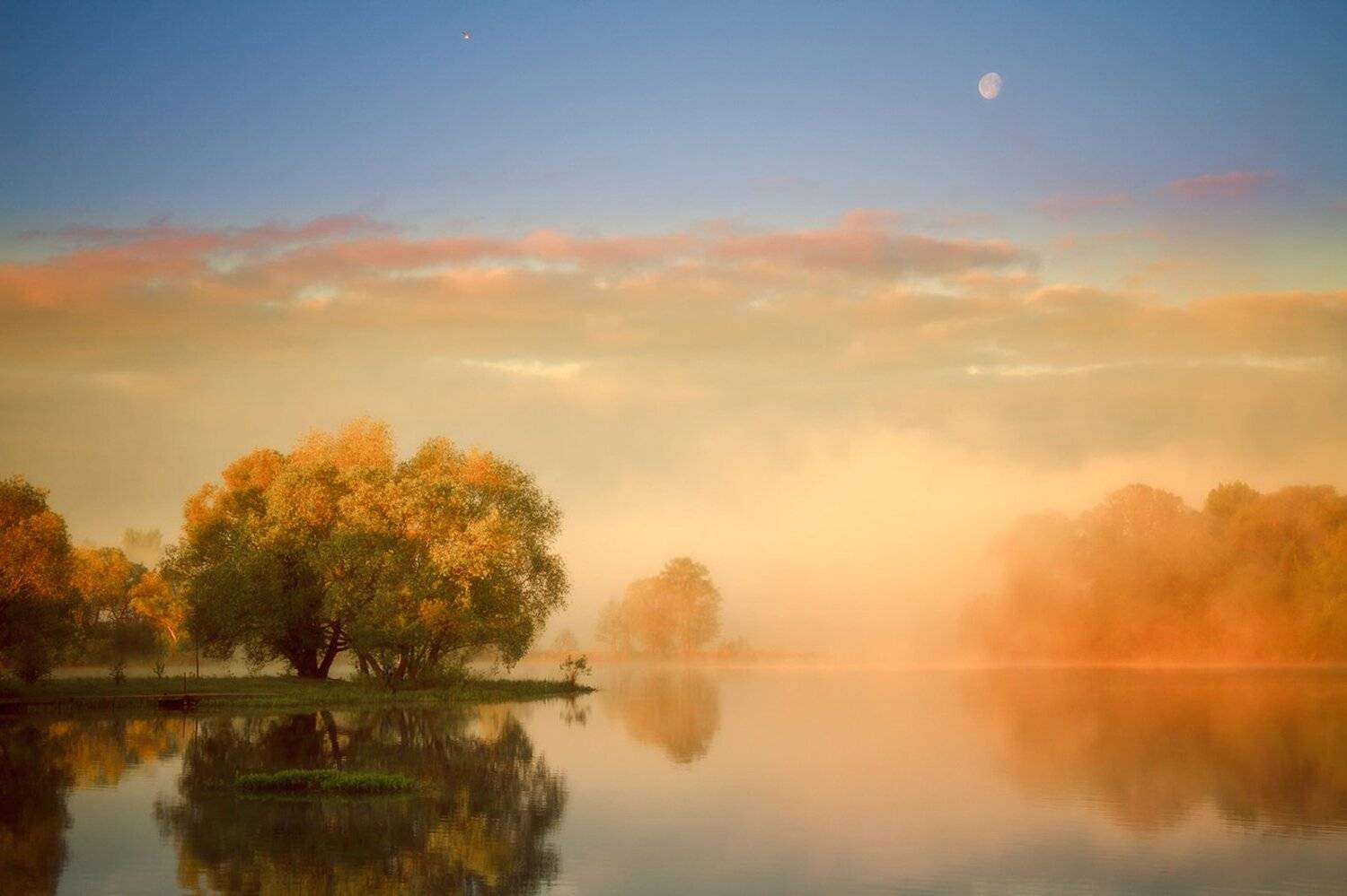 Беларусь, Серж Домбровский