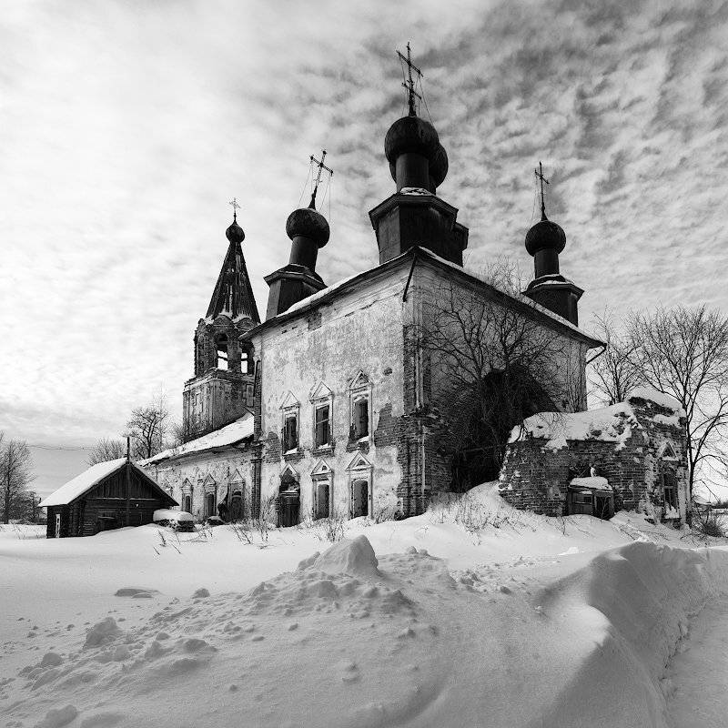 , Марина Никифорова