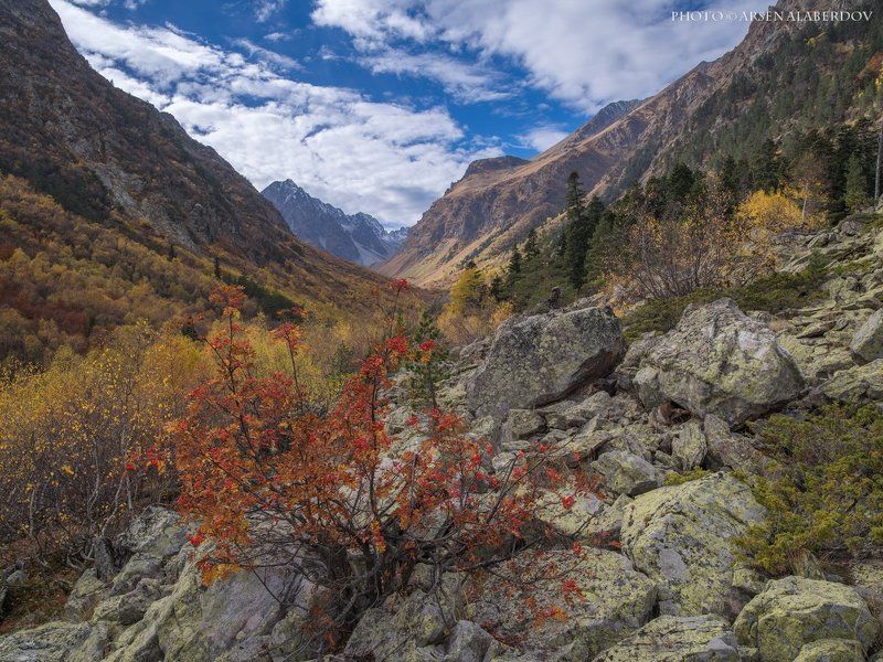 БАДУКСКОЕ УЩЕЛЬЕ фото превью
