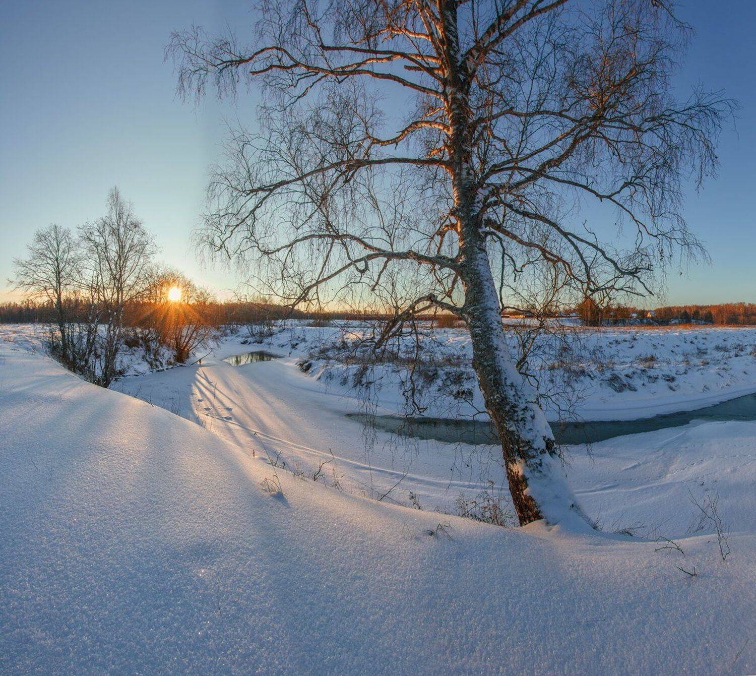 , Николай Андреев