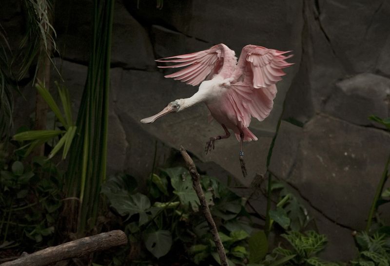 #*22 фото превью