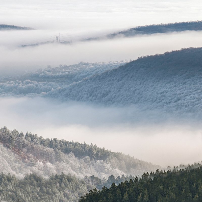 fog, mountain, landscape, nature, forest, tree, snow, white Foggy фото превью
