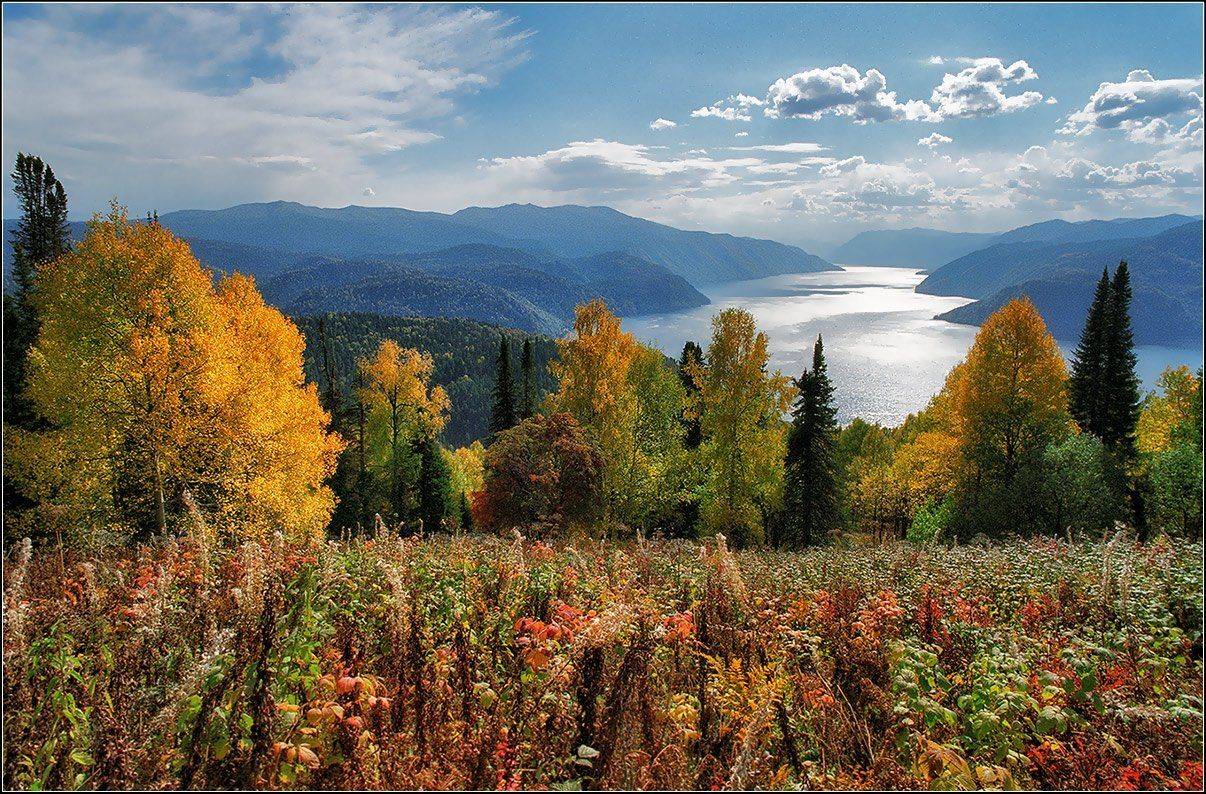 алтай, оз.телецкое, тайга, АНАТОЛИЙ ДОВЫДЕНКО