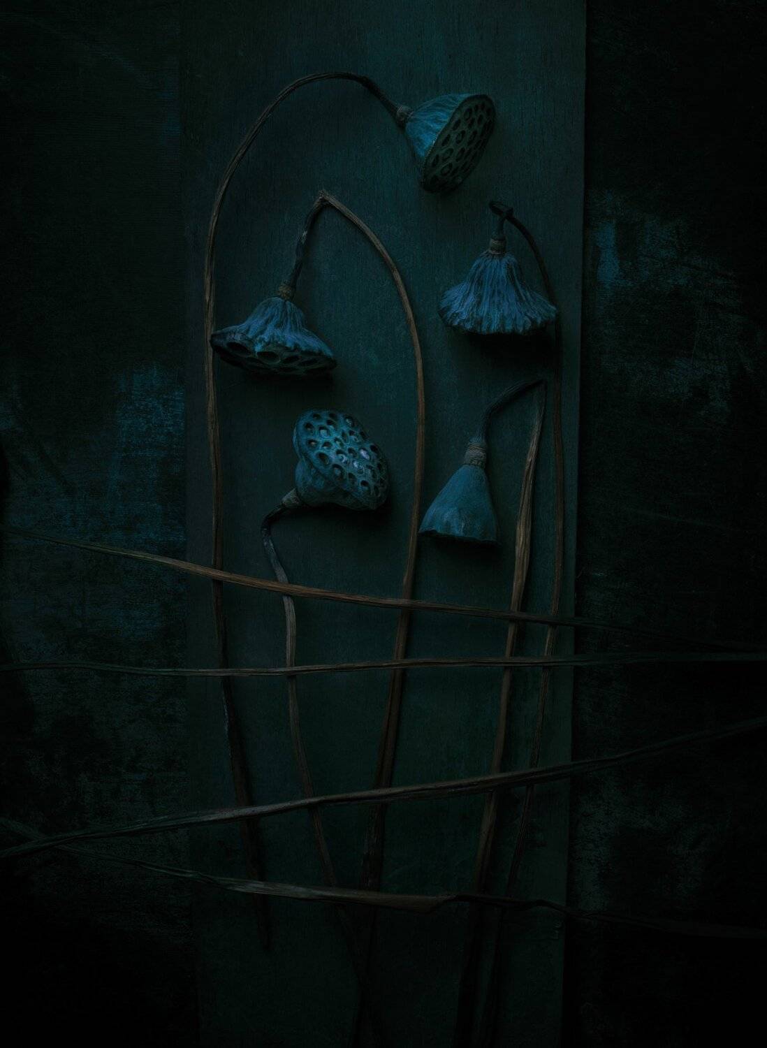 лотос, цветы, сухоцвет, натюрморт,, Наталья Голубева