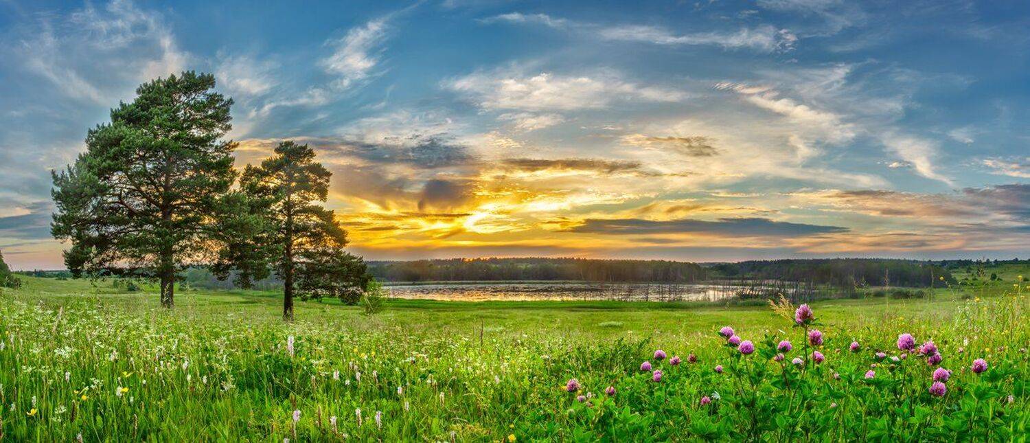 , Николай Андреев