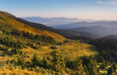 Утро в Карпатах