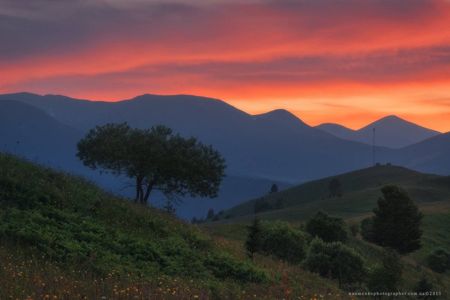 пейзаж, горы, природа, лес, небо, путешествия, красивый, лето, зеленый, украина, трава, дерево, фон, парк, естественный, луг, гора, сезон, красота, цвет, солнце, свет, свежий, карпатский, идиллический, карпаты, карпатские, синий, туризм, вид, холм, время,, Александр Науменко