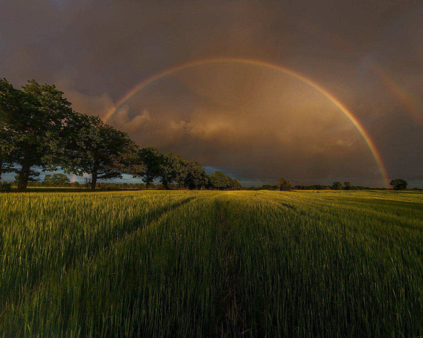 лето, Aleksandr Kljuchenkow