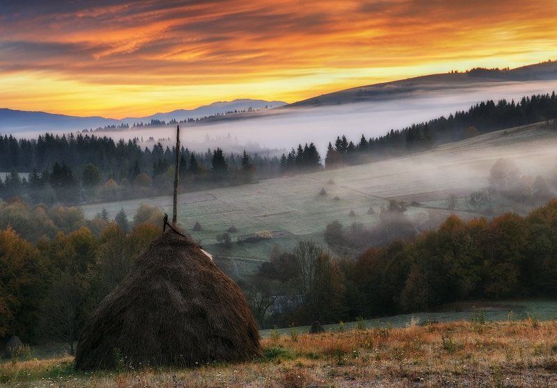 осеннее утро