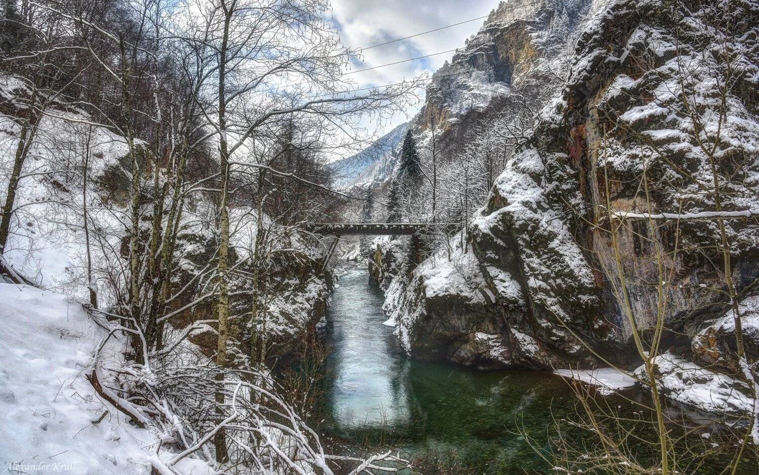 , Александр Круль