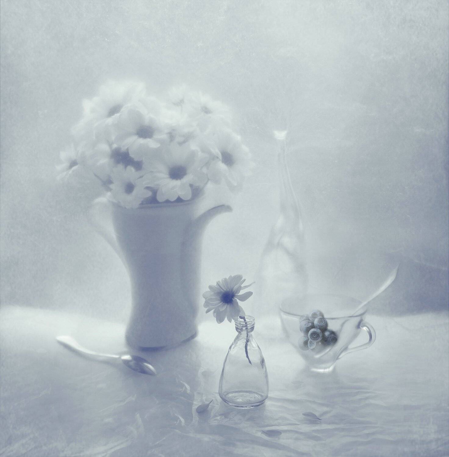 цветы, белый, природа, растение, чашка, черника, букет, ложка, чайник, бутылка, лепестки, натюрморт, арт, Елена Лысенко
