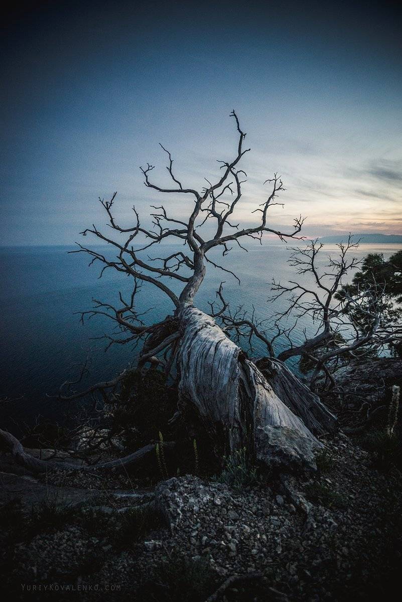 , Юрий Коваленко