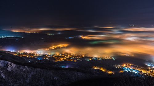 Into the Night