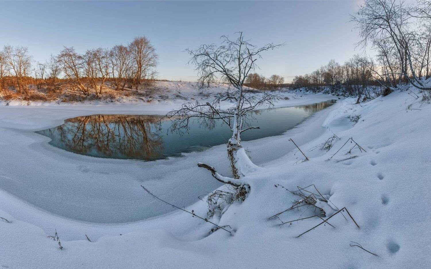, Николай Андреев