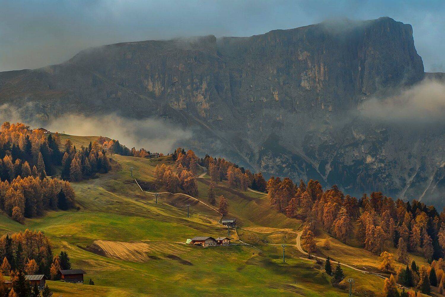 , Игорь Дубровский