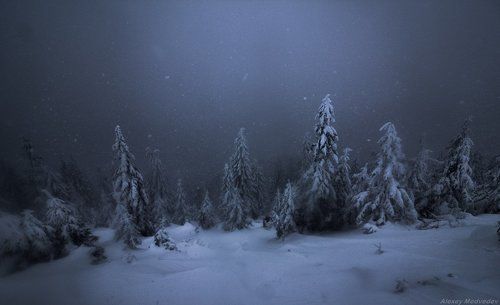 Приветствие мрака