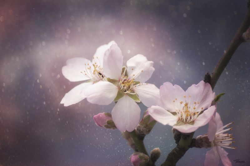 Скоро будет весна фото превью