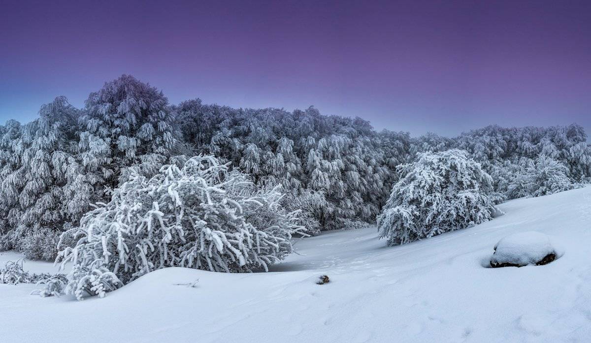 , Станислав Савицкий