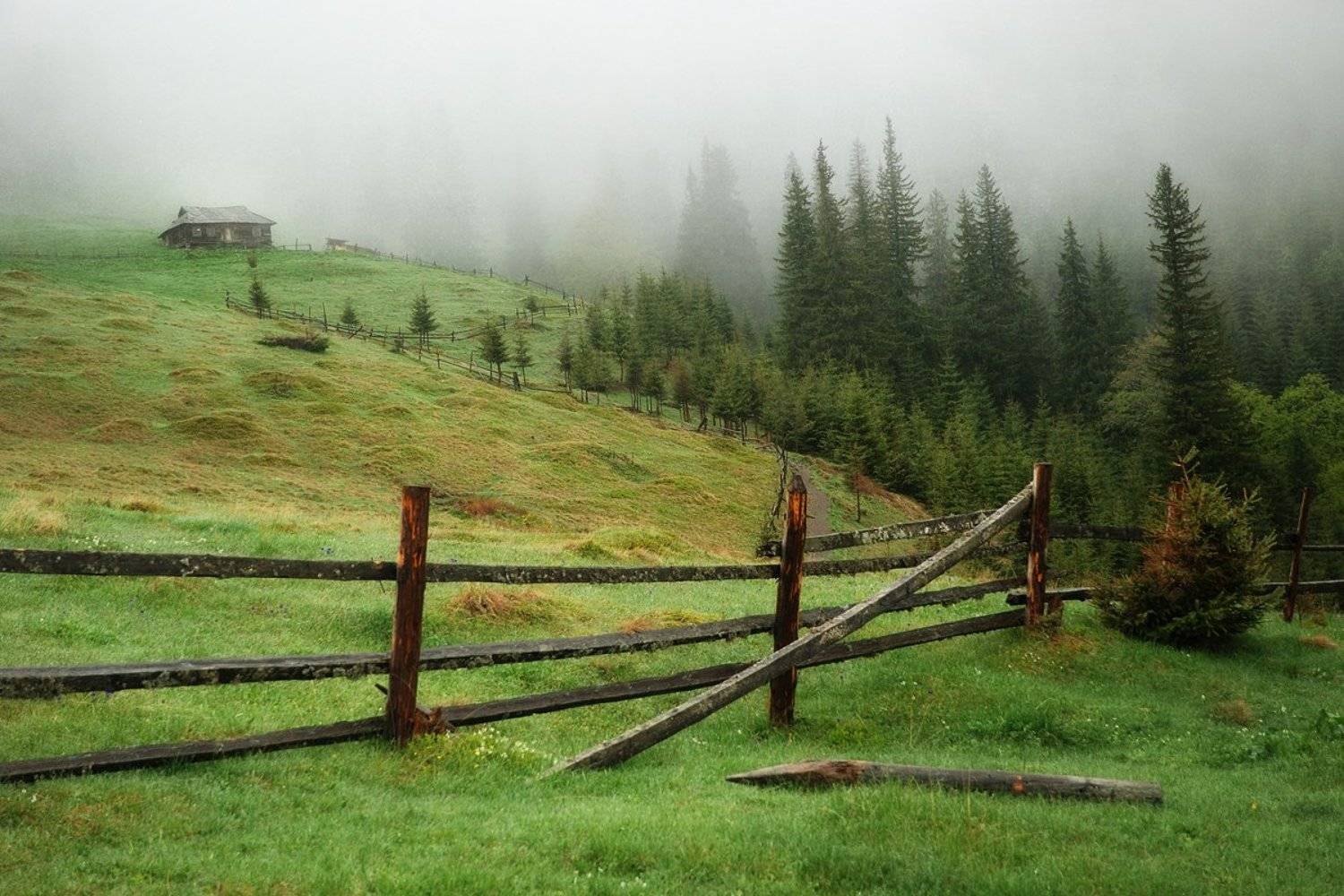 , Лопухов Сергей