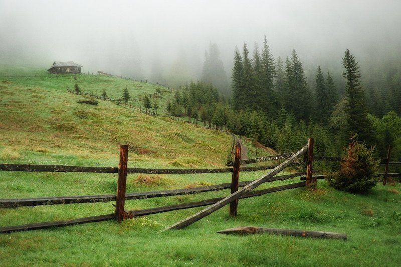 Карпаты, утро фото превью