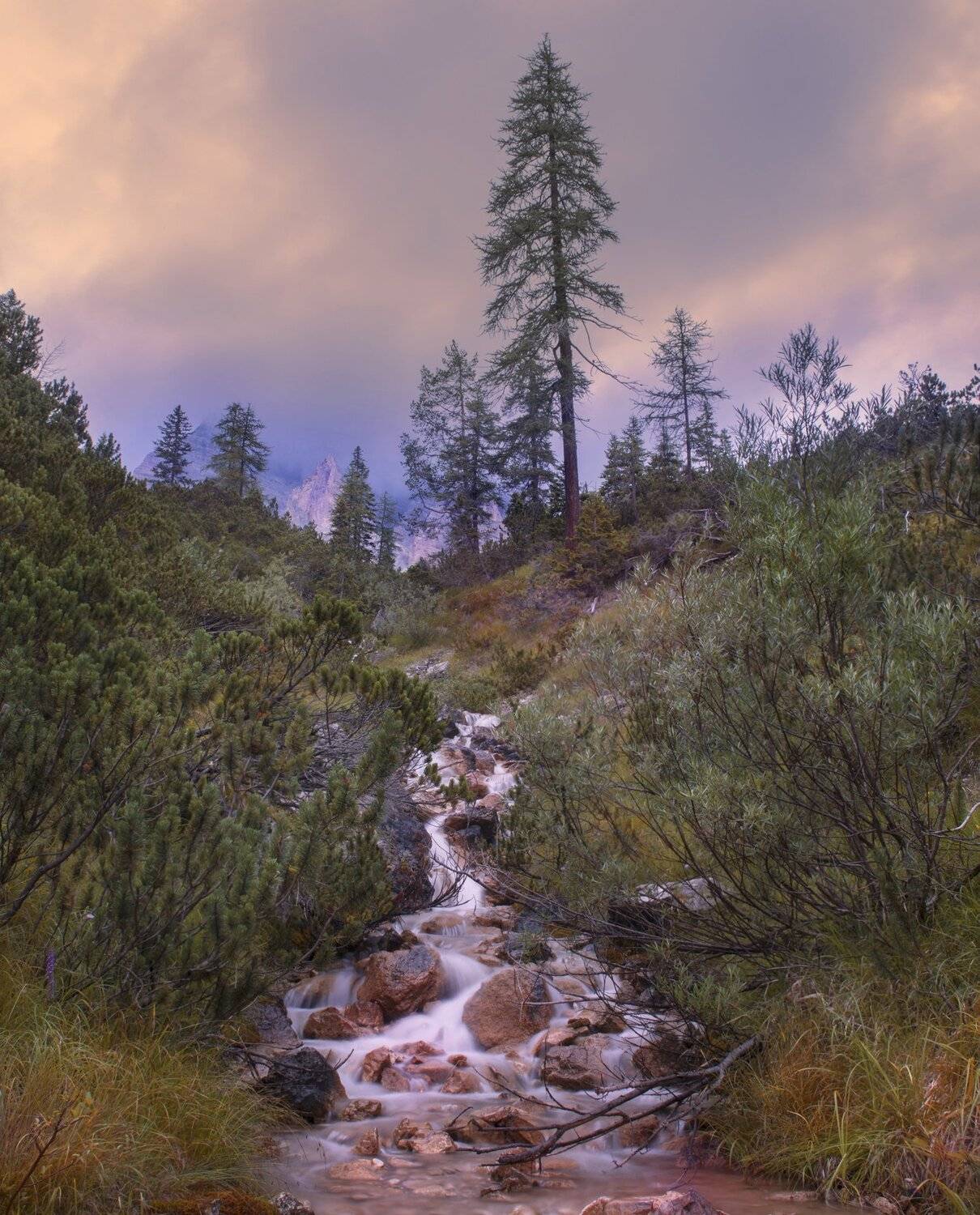 , Михаил Калинин