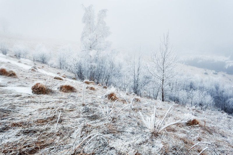 Карпаты. Дземброня. Из серии Морозное утро фото превью