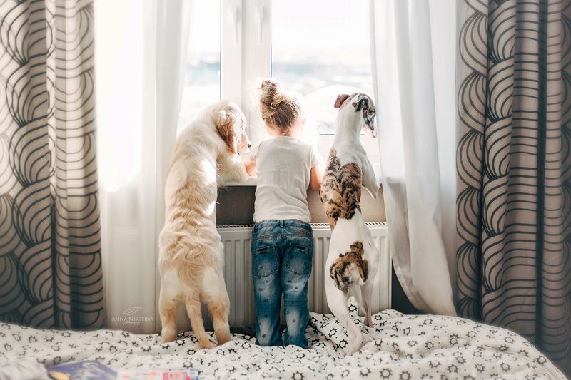 Друзья фото превью