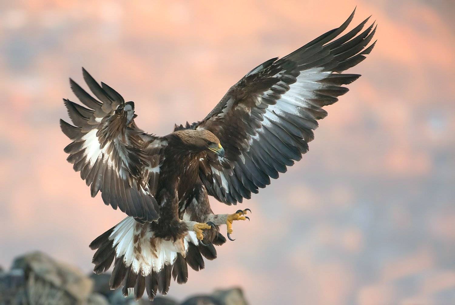 , Сергей Златков