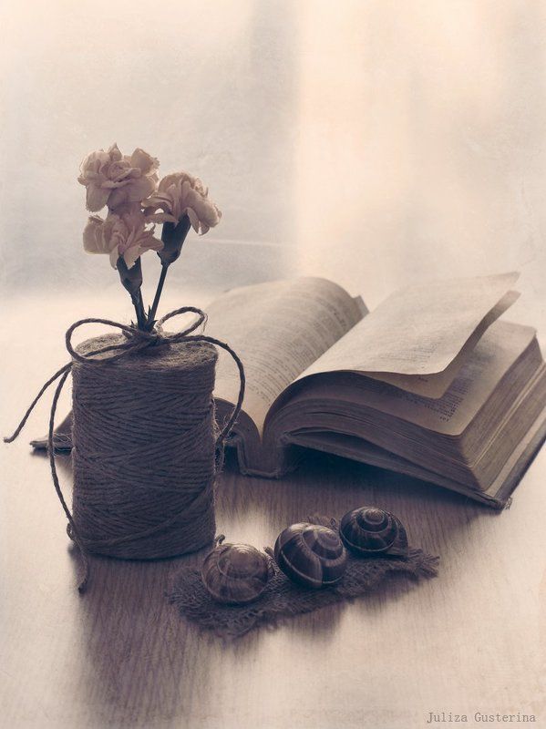 про гвоздички фото превью