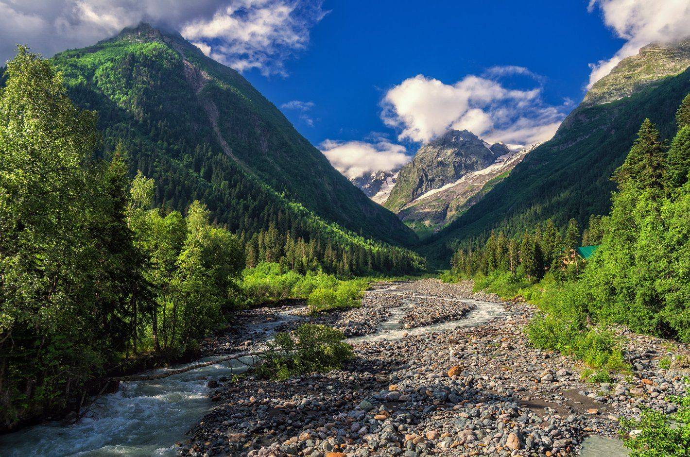 , Игорь Мелекесцев