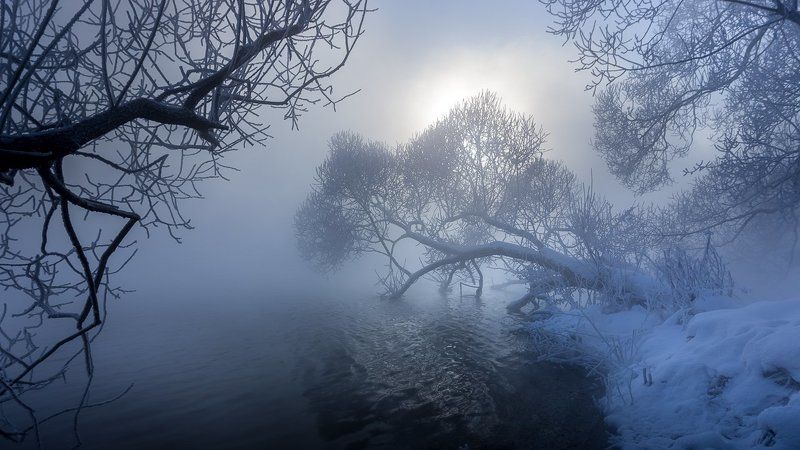 зима, мороз, природа, россия, тула ... фото превью
