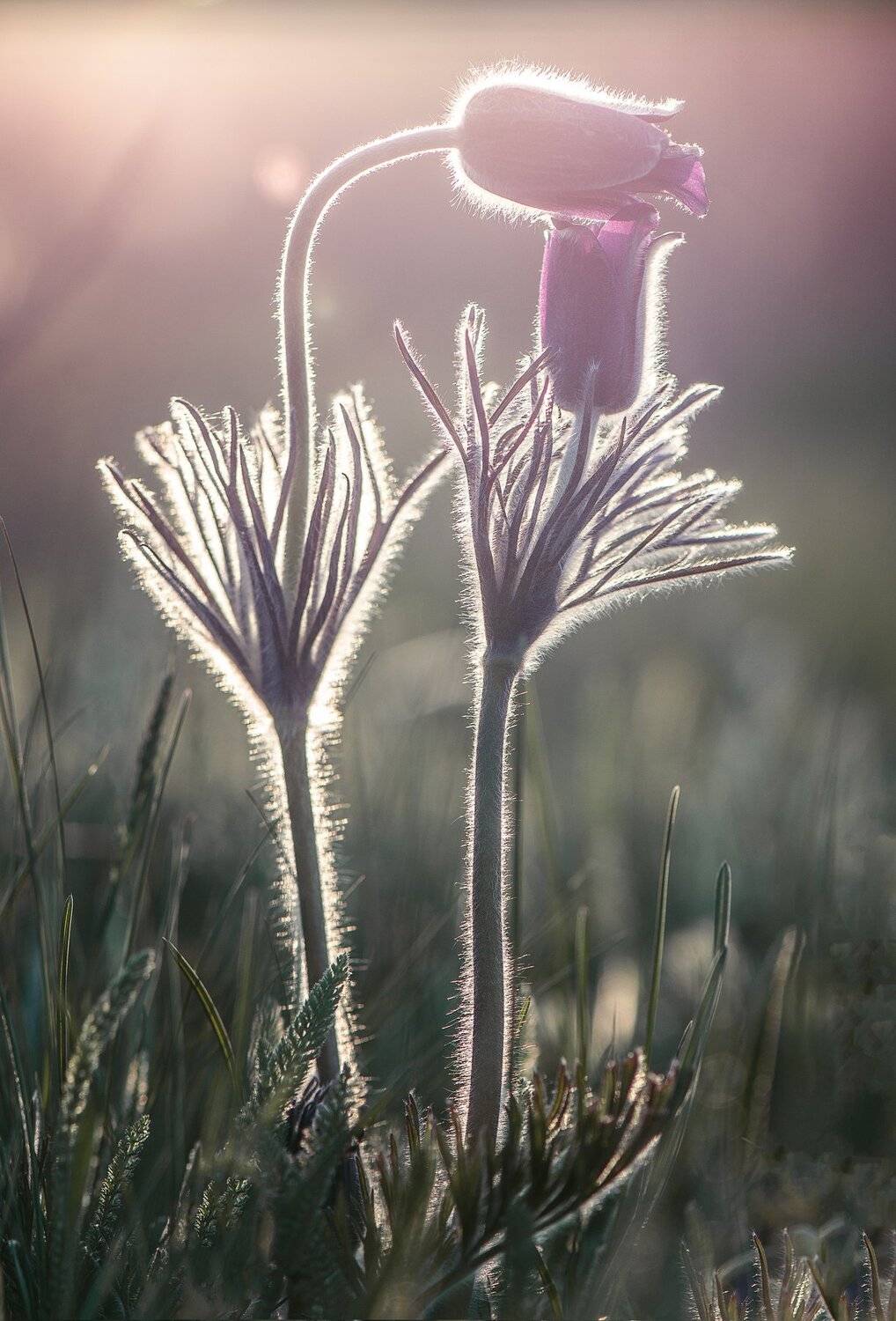 , Татьяна Аверина