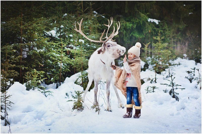 девочка, лес, олень, зима В зимнем лесу фото превью