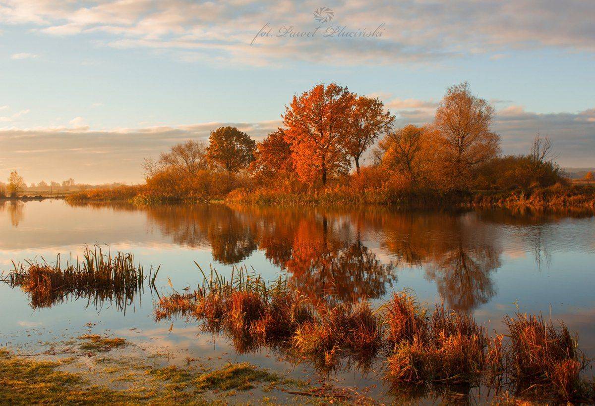 , Pawel Plucinski
