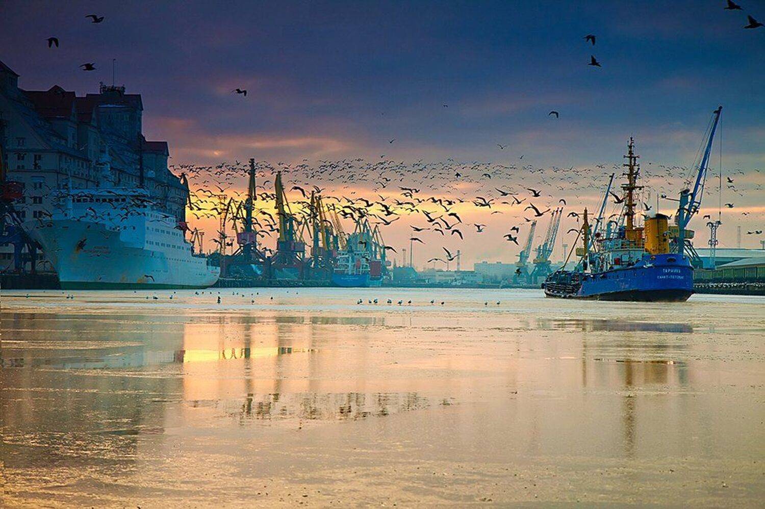 , Геннадий Новов