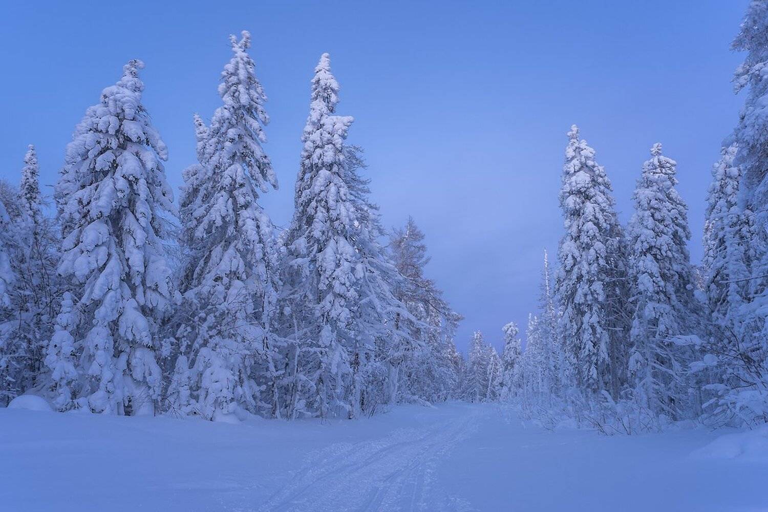 , Михаил Туркеев