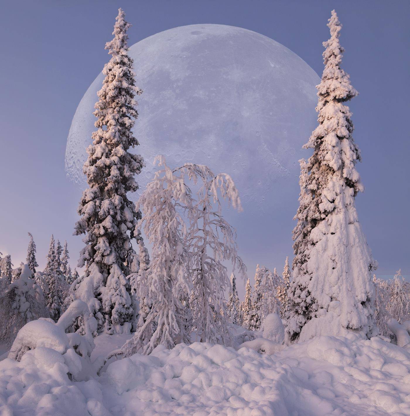 Cтражи зимы. Автор: Lapland , Lapland