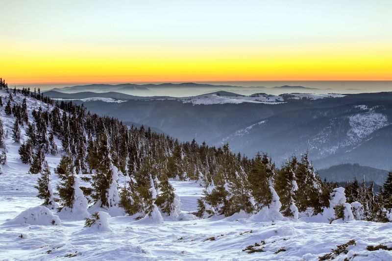 sunset,trees,sky,colors,winter, After sunset фото превью